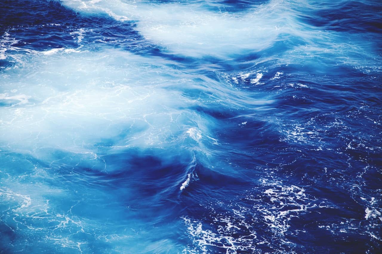 Pierwszy komponent w React.js