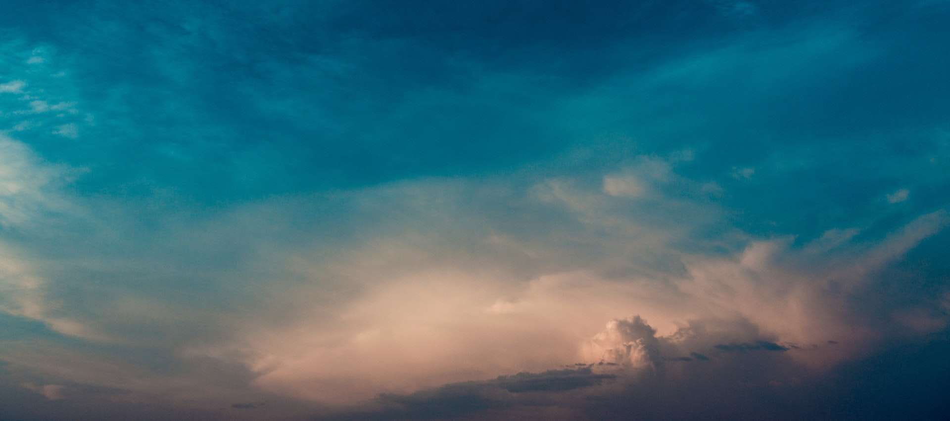 React.js w przykładach: filtrowanie statycznej listy